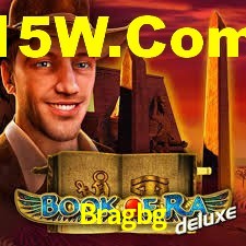Premium Interface Bragbg